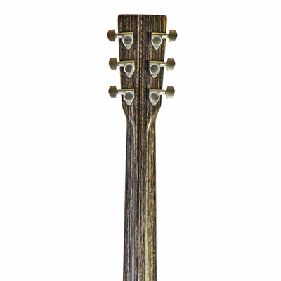 Martin GPC-X1E Elektro Akustik Gitar